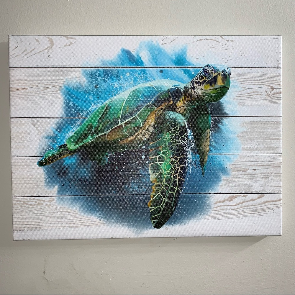 Beautiful 16x12 inch Sea Turtle Wall Decor